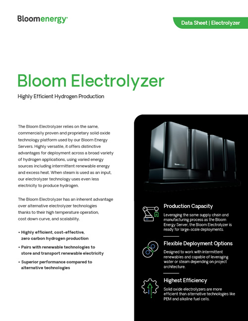 Electrolyzer Data Sheet